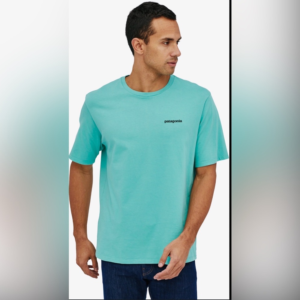 Patagonia Men's Turquoise Short Sleeve Tee